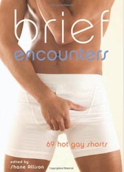 Buy Brief Encounters: 69 Hot Gay Shorts